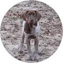 Atlantic Disposal - Palm Coast — photo 3